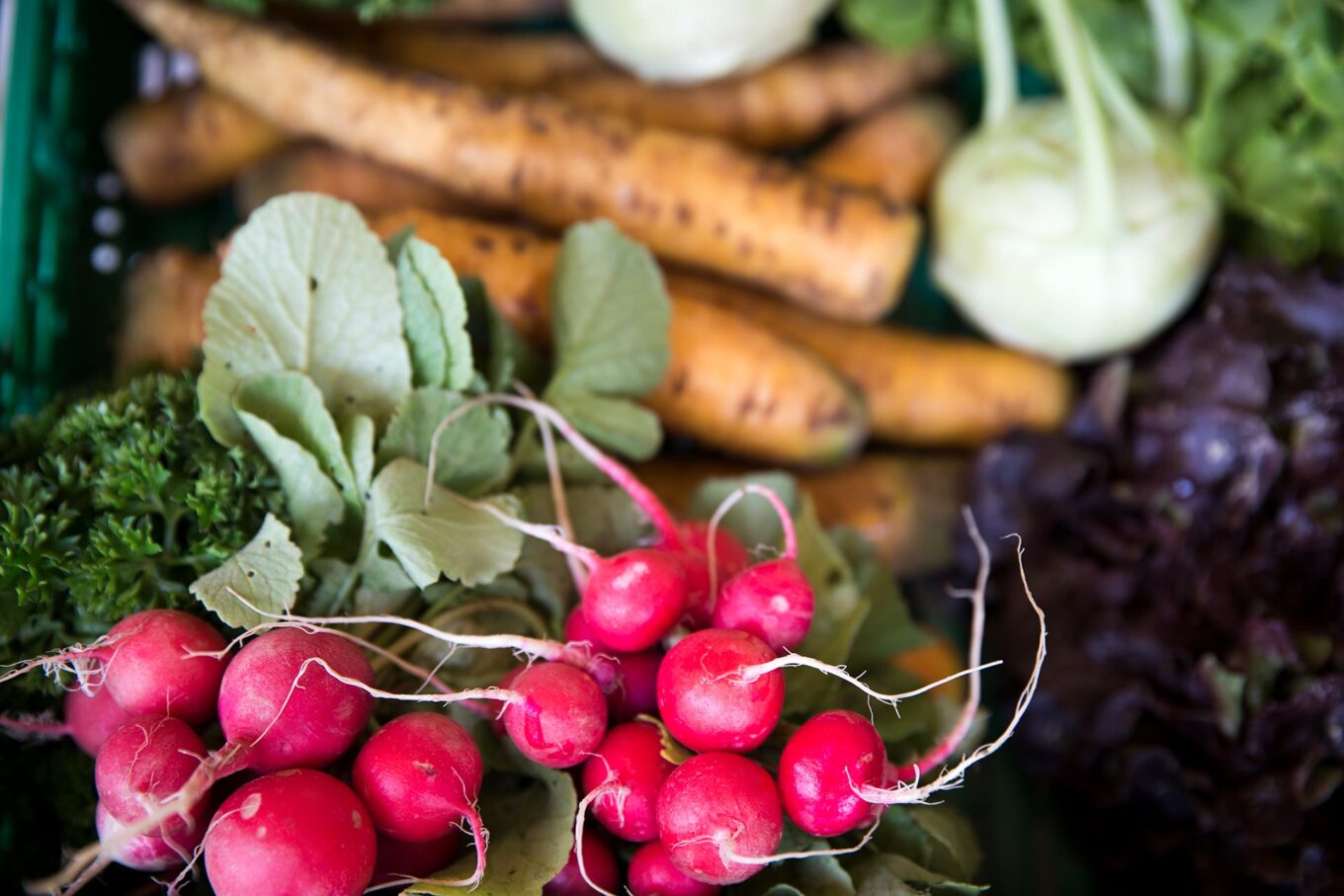 Frisches Gemüse: Radieschen, Karotten und Kohlrabi.