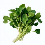Frischer grüner Rucola-Salat auf weißem Hintergrund.